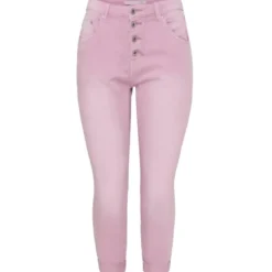 Place du Jour dame Knickers 1233 - Parme Clearance